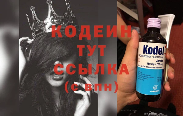 стаф Абаза
