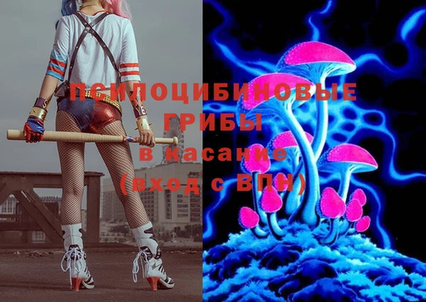 apvp Алзамай