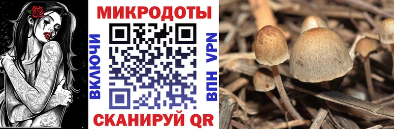 цена наркотик  Зерноград  Псилоцибиновые грибы Magic Shrooms 